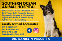 Southern Ocean Animal Hospital Image